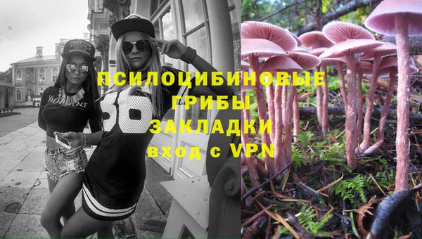 молекула духа Михайловск