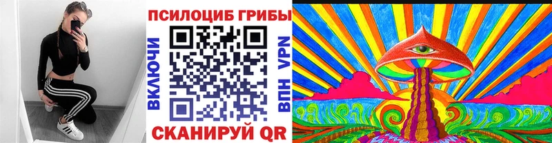 Купить закладки  Тайшет  Галлюциногенные грибы мухоморы 