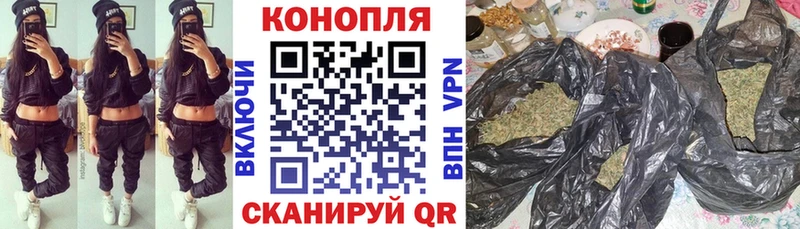 Бошки Шишки индика  Купить закладки  Тайшет 
